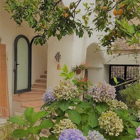 Sorrento Studios Lemons Hill Exterior foto