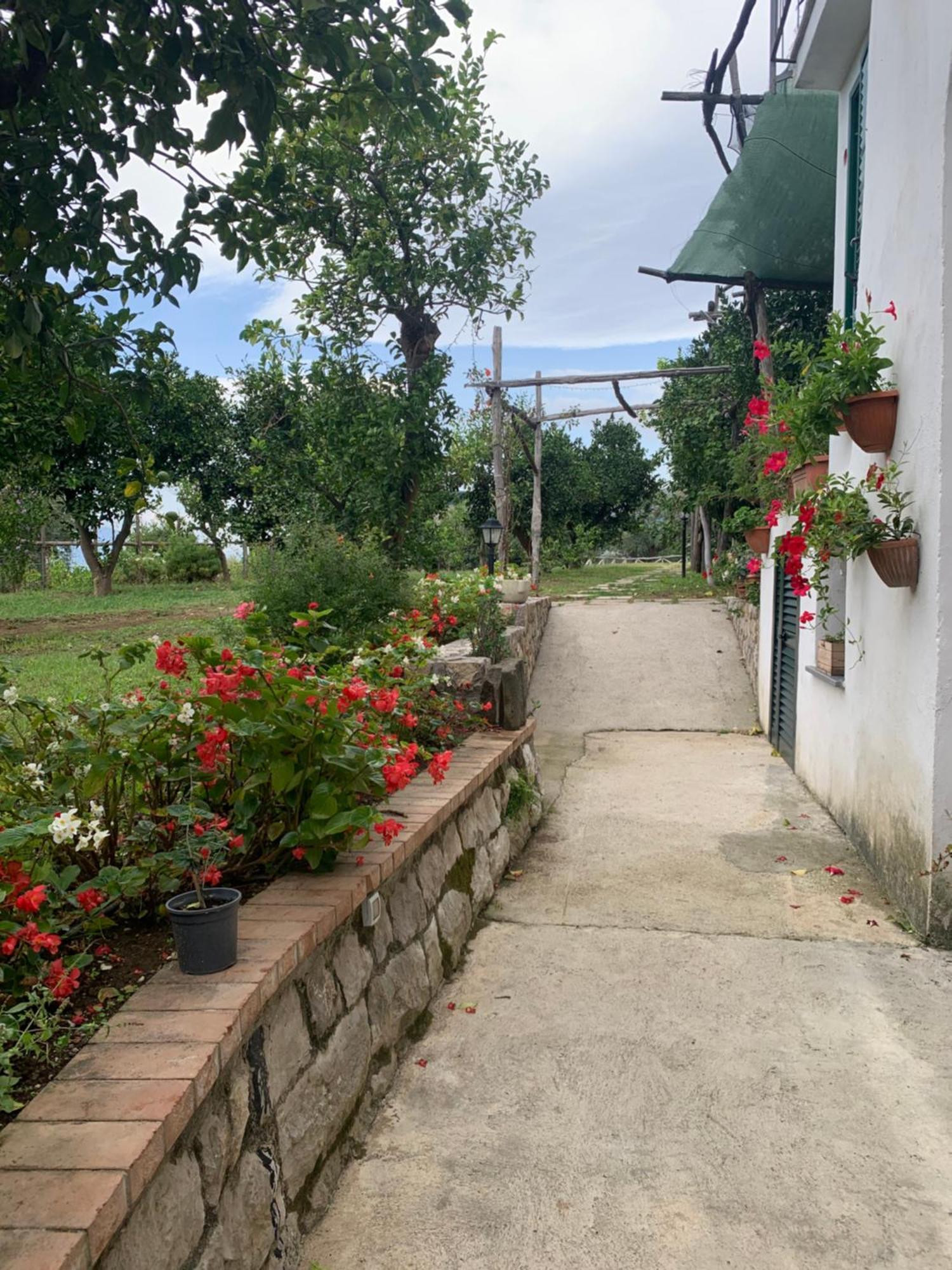 Sorrento Studios Lemons Hill Exterior foto