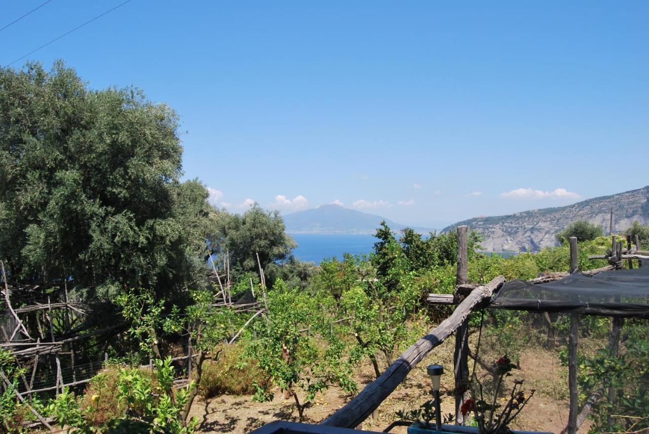 Sorrento Studios Lemons Hill Exterior foto